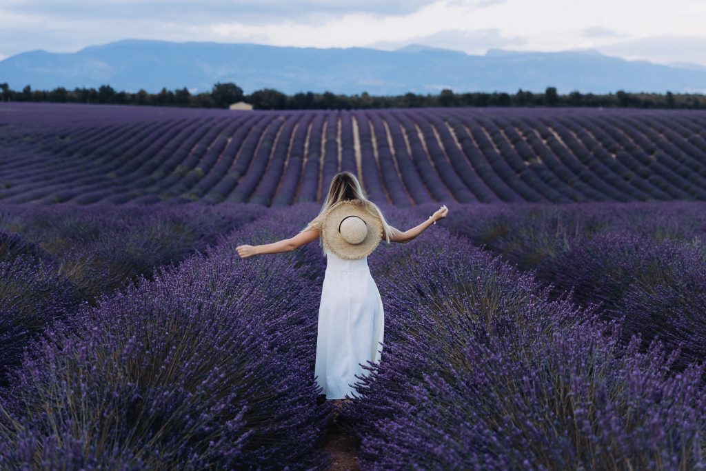 Lavender fields list at the South of France